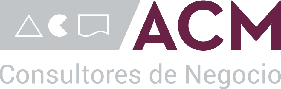 ACM Consultores